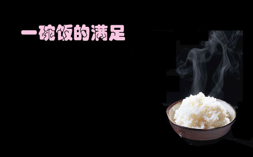 美的FS306